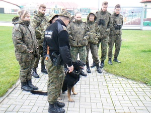 Pokaz umiejętności psa służbowego