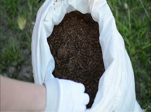Zlikwidowano nielegalną krajalnię tytoniu 
