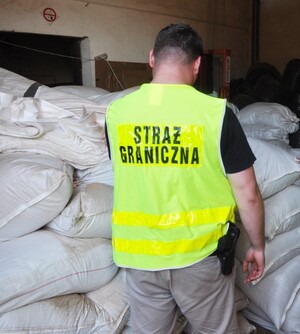 Zlikwidowano nielegalną krajalnię tytoniu 