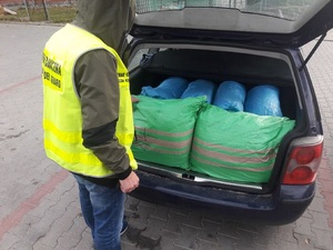 Ujawniona krajanka tytoniowa 