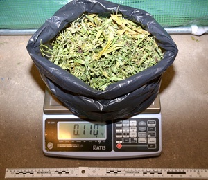 ujawniona marihuana 
