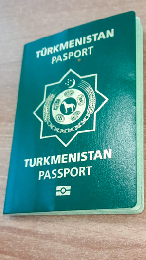 Turkmeni pracowali nielegalnie 