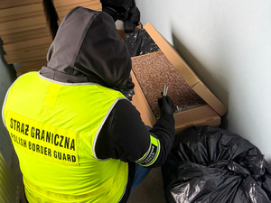 ujawnione nielegalne papierosy ujawnione nielegalne papierosy