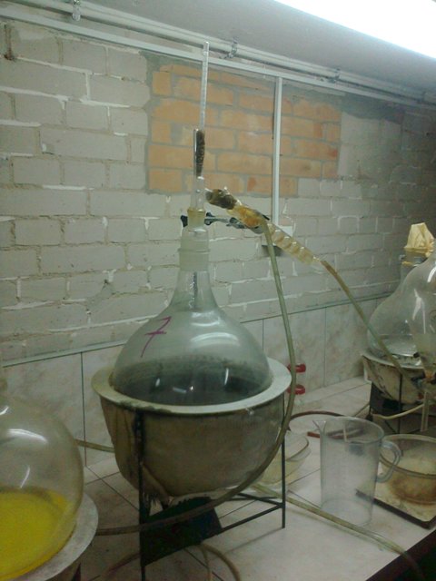 11wspolne cwiczenia1