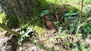 Znaleziony niewybuch