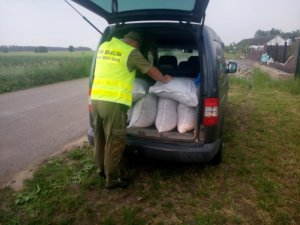 Ujawniona krajanka tytoniowa 