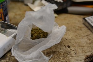 Ujawniona marihuana 