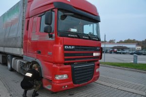 Zatrzymany DAF 
