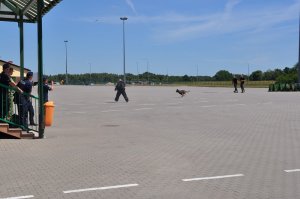 Ćwiczenia służb 