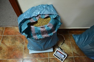 ujawniona krajanka tytoniowa