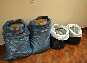 ujawniona krajanka tytoniowa