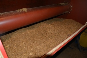 ujawniony tytoń w trakcie produkcji