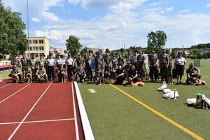 Międzynarodowe zawody psów służbowych 