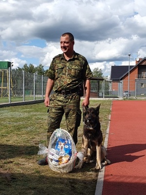 Pies służbowy Ivor odszedł na emeryturę 