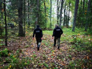 Szczęśliwy finał poszukiwań grzybiarzy 