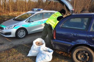nielegalna krajanka tytoniowa w bagażniku 