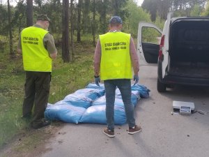 ujawniona krajanka tytoniowa 