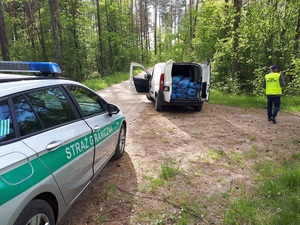 ujawniona krajanka tytoniowa 