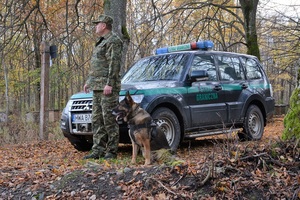 psy slużbowe W-MOSG 