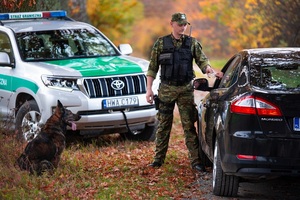psy slużbowe W-MOSG 