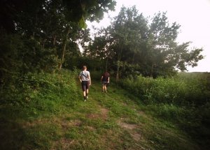 spacerowali z psami po pasie drogi granicznej 