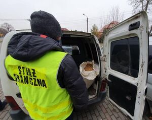 ujawniona krajanka tytoniowa 