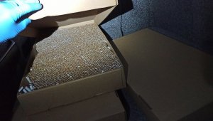 rozbita białorusko-ukraińska zorganizowana grupa przestępcza produkująca nielegalne papierosy 