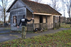 przewodnik z psem Jager 