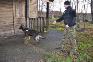 przewodnik z psem Jager 