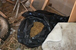 Zlikwidowana produkcja lewych papierosów 