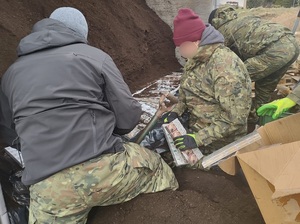 wozili pod torfem białoruskie papierosy 