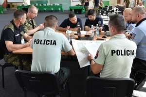 Międzynarodowe ćwiczenia służb granicznych Grupy Wyszehradzkiej 