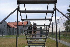 Owczarki belgijskie szkoliły się w Barcianach 