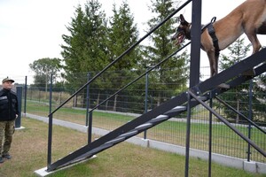 Owczarki belgijskie szkoliły się w Barcianach 