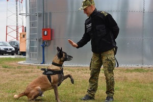 Owczarki belgijskie szkoliły się w Barcianach 
