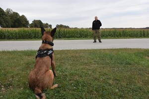 Owczarki belgijskie szkoliły się w Barcianach 