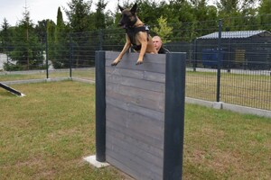 Owczarki belgijskie szkoliły się w Barcianach 