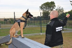 Owczarki belgijskie szkoliły się w Barcianach 