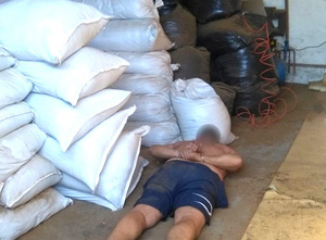 Zatrzymani członkowie zorganizowanej grupy przestępczej 