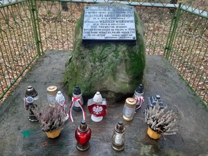 Pamiętali o mogiłach poległych kolegów 