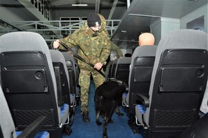 Psy służbowe SG doskonaliły swoje umiejętności 