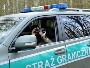 Nowe Toyoty w W-MOSG