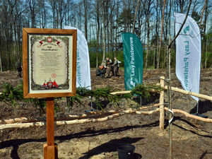 Regionalne Obchody Święta Lasu 2023 