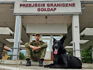 Przyjaciele świętują 