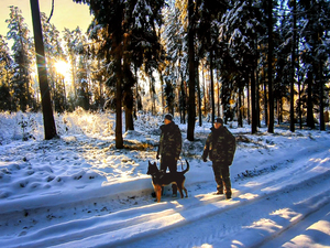 Łączą służbę z pasją