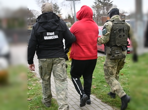 zatrzymany członek zorganizowanej grupy przestępczej 