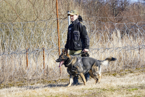 funkcjonariuszka Straży Granicznej z psem służbowym podczas patrolu funkcjonariuszka Straży Granicznej z psem służbowym podczas patrolu