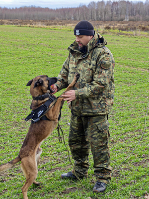 Pies służbowy Bagrat z przewodnikiem z Placówki Straży Granicznej w Braniewie Pies służbowy Bagrat z przewodnikiem z Placówki Straży Granicznej w Braniewie