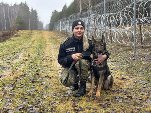 Pies służbowy Beki z przewodnikiem z Placówki Straży Granicznej w Gołdapi Pies służbowy Beki z przewodnikiem z Placówki Straży Granicznej w Gołdapi