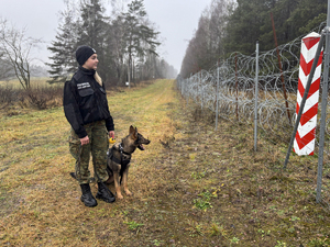Pies służbowy Beki z przewodnikiem z Placówki Straży Granicznej w Gołdapi Pies służbowy Beki z przewodnikiem z Placówki Straży Granicznej w Gołdapi